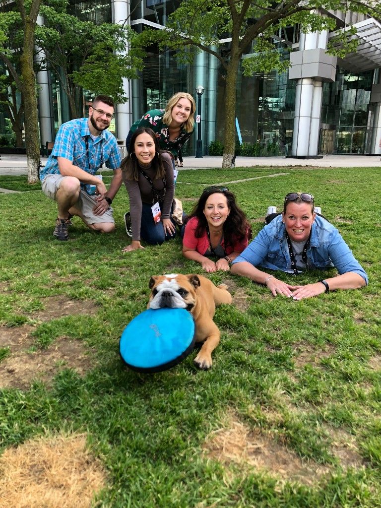 Team lying on the grass with a dog holding a frisbee