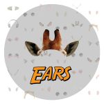 EARS_FEATURE IMAGE